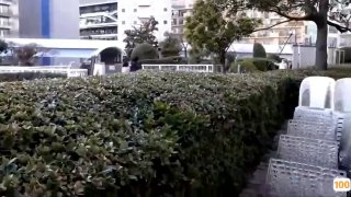 日韩无码.步步惊心丽在线a 日本一区二区在线看_国产在线精品观看一区欧美国产精品不卡在线观看_国产亚洲一区二区手机在线观看